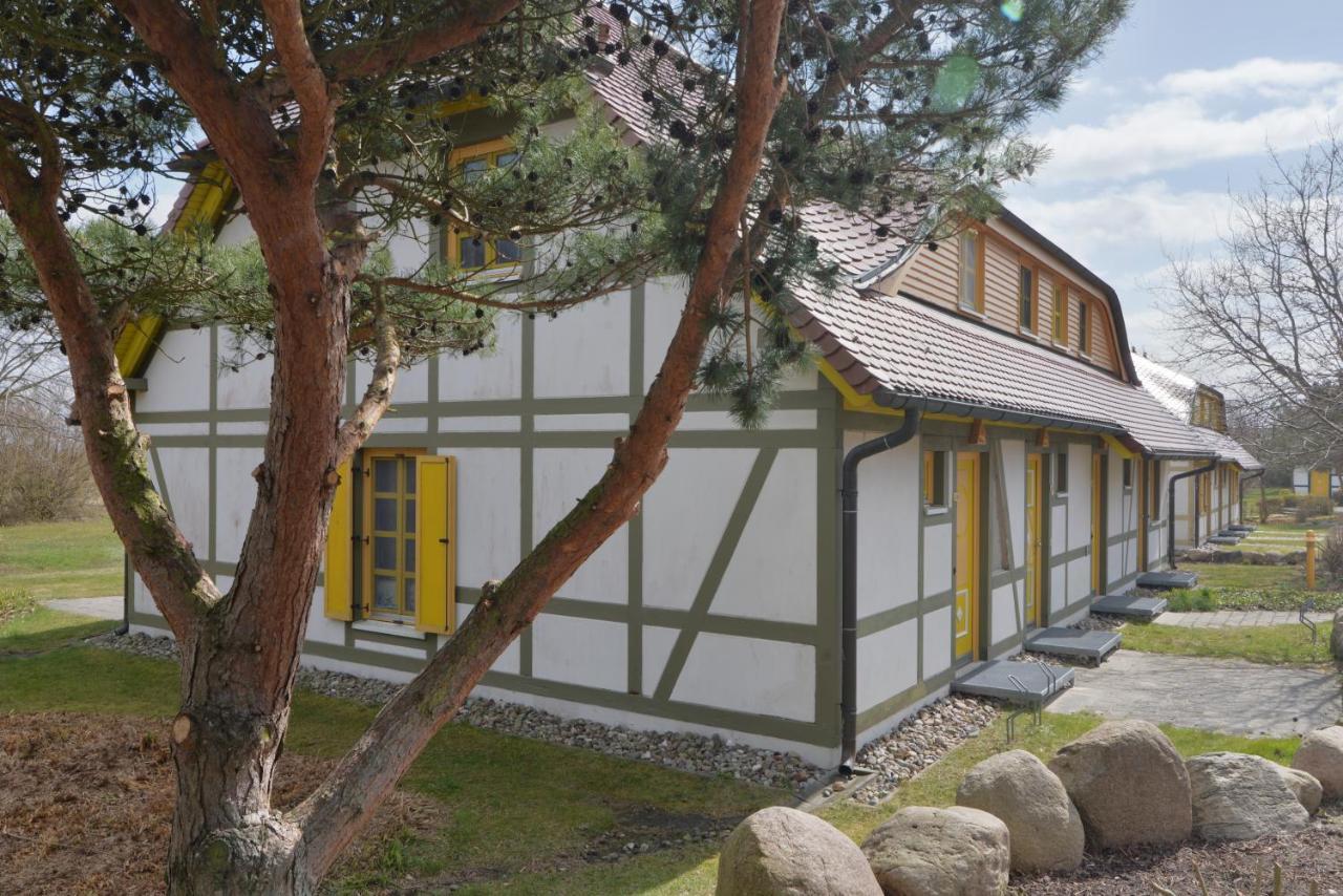 Strand-Appartement Am Bakenberg ดรันส์เคอ ภายนอก รูปภาพ